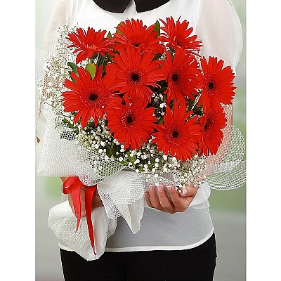 Kırmızı Gerbera Buket