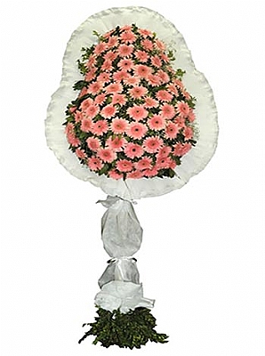 Pembe Tekli Duvak